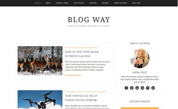 Blog Way WordPress Theme