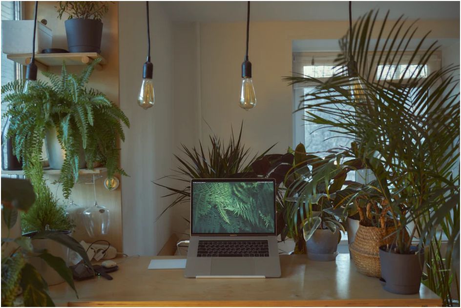 Home Office Upgrades You Need If You Work Remotely